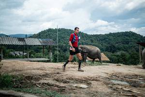 BIB: 
                            <button type="button" onclick="openModal(22424249)" class="btn btn-primary btn-sm float-right btn-popup" data-toggle="modal" data-target=".modal-high-quality">
                        <i class="fas fa-shopping-cart"></i> Add to Cart
                    </button>
                                            <button type="button" onclick="isThisMe(22424249, true)" class="btn btn-success btn-sm float-right btn-popup btn-isme hidden" data-toggle="tooltip" data-placement="bottom" title="นี่คือรูปของคุณใช่ไหม คลิกที่นี่เพื่อเอาเข้าอัลบั้ม">
                        <i class="fas fa-plus"></i> Add to album
                    </button>
                    <button type="button" onclick="isThisMe(22424249, false)" class="btn btn-warning btn-sm float-right btn-popup btn-isnotme hidden">
                        <i class="fas fa-ban"></i> Remove from album
                    </button>